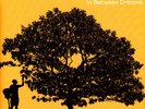 Jack Johnson - In Between Dreams (Vinyl LP - 2005 - EU - Reissue)