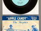 SKEPTICS Apple Candy/Ride Child 1966 ORIG GARAGE ROCK 45+SLEEVE Oklahoma RARE