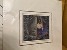 Blonde Redhead - Misery Is A Butterfly [Vinyl LP] - 2009 - 4AD Records Rock