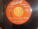 JOE MELSON - TAKE IT LIKE A MAN / WAKE UP, LITTLE SUSIE. FOLK BLUES HICKORY 45