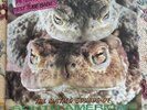 Peter And The Test Tube Babies The Mating Sounds Frogs Vinyl LP 1983 UK CHIN VG+