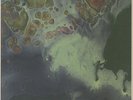TOZZI, Luigi - Sentient - Vinyl (limited 180 gram vinyl 12