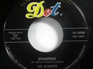 The SCARLETS 45 Park Avenue Stampede DOT Rockabilly Instrumentals Surf Near-MINT