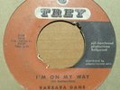 Barbara Dane 45rpm 1960 Trey 3012 I’m On My Way / Go ‘Way From My Window