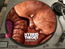 PRE LINKIN PARK - Hybrid Theory - Carousel 12