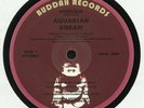 AQUARIAN DREAM - Phoenix - Vinyl (12