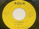 Northern Soul 45 - The Chantells with The Aqua Lads: I'll Never Know 45 - Aqua
