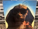 Kiss Hot In The Shade Mercury Vinyl Record LP 838 913-1 , 1989