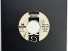 The Waters Day In And Out / Mother Samwell Rare Delcrest Garage Psych Rock 45