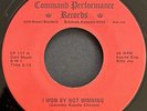 The Goodtimers I Won By Not Winning Command Performance Pop Psych Song Poem 45