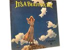 Beautiful Day CS9768 Stereo Columbia 360 Records Original Vintage 1968 LP Vinyl