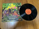 CULPEPER'S ORCHARD -s/t 1ST PRESS 1971 DENMARK PRESS  krautrock