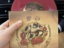 The Story So Far Stick To Your Guns