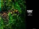 HUBERT LAWS 