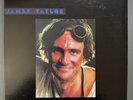 James Taylor Dad Loves His Work 180g VINYL LP Mobile Fidelity MOFI MFSL 1-356
