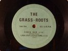 The Grass-Roots Cinch Bug CRAZY RARE  Pre Arthur Lee & Love Unissued? EP Garage