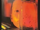 Alice In Chains Jar of Flies SAP 2010 Vinyl Record Etched Sun M/NM