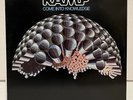 RAMP - Come Into Knowledge (2018) Blue Thumb Records RARE Vinyl 1LP NEW