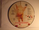 Picture Disc Record Album - Strawberries - The Damned - 1986 - Disc Only.