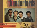 The Fabulous Thunderbirds Portfolio NEAR MINT Chrysalis Records 2xVinyl LP