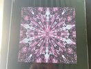 Blackpink The Album Vinyl LP Limited Edition [US SELLER]