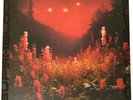 Silent Planet - Superbloom, Dimension Red Vinyl Record (Opened)