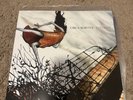 Circa Survive Juturna Vinyl Orange Marbled Hot Topic Exclusive /1000