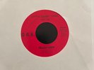 TELEVISION LITTLE JOHNNY JEWEL RARE ORIG ORK 45 MONO NEW WAVE PUNK TOM VERLAINE