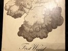 RICOTTI & ALBUQUERQUE - FIRST WIND  PEGASUS PEG 2 PROG PSYCHE WITH FULL AUDIO