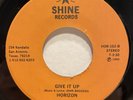 RARE Funk Sweet Soul 45 HORIZON Give It Up / You Went Away SHINE listen
