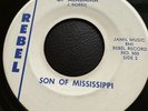 Son Of Mississippi Rebel Records NM Vinyl Flight NAACP 105 The Voice Of Alabama