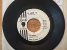 NORTHERN SOUL 45 THE BIRDS I'D LOVE TO PROMO 1965