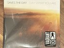 SAVES THE DAY - Stay What You Are  10” Brown Vinyl Sealed