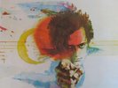 Harry Chapin Verities & Balderdash LP Album Vinyl Schallplatte 0035