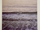 Copeland Ixora Vinyl | LP Album 180g | Previously Owned Released 2014