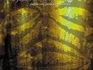 The Future Sound of - Papua New Guinea (Translations) [New Vinyl LP] UK -