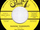 The Demures - Raining Teardrops / The Sly, Slick, And The Wicked, 7