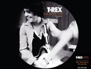 T.Rex The Groover (Vinyl) 50th Anniversary  7