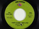 Northern Soul 45 - Voice Box - I Want It Back (Your Love) - Loma