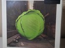 Cabbage Alley by Meters (Sealed & New)w/minor sleeve damage