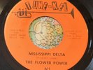 Banging Garage Fuzz Psych 45 The Flower Power Mississippi Delta EX HEAR