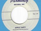 TEEN DOO WOP 45 ON PARKWAY - JOHNNY STEVENS - 