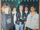 CRUMBSUCKERS beast on my back ORIGINAL LP WITH PRESS RELEASE FREE UK POSTAGE