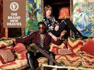 The Brand New Heavies TBNH Double Vinyl LP New - See Description