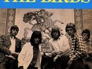 The Birds - The Birds LP