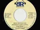 Modern Soul Gospel 45 - Allen Combs - What Would I Do - Banner