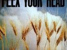 Flex Your Head: A DC Sampler by Magic Band [VINYL]