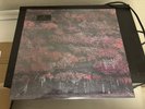 Sleep Token Even in Arcadia 2 LP Limited Edition Vinyl Glass of Port (Revolver)