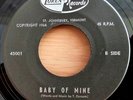 Tom Dorsam 