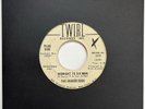 The Jagged Edge Midnight To Six Man Rare Promo Twirl Records Garage Rock 45